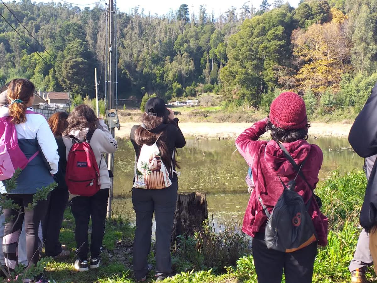 Festival de Aves de Concepción - Terreno