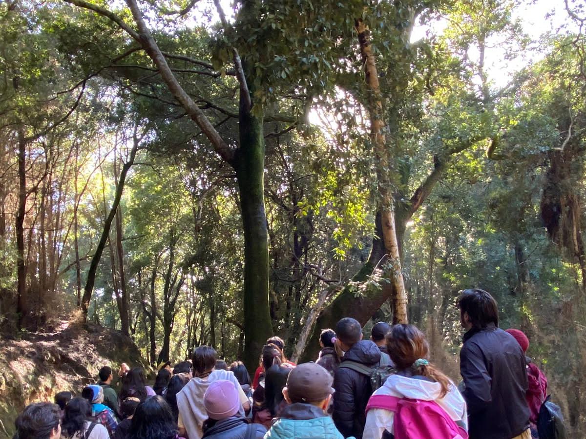 Festival de Aves de Concepción - Terreno