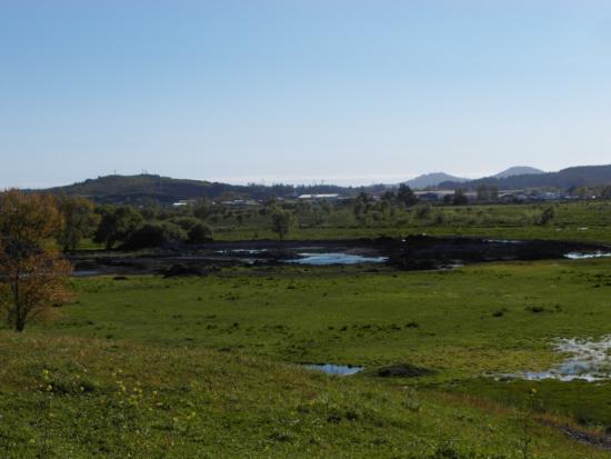 Humedales en el Gran Concepción