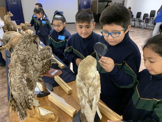 niños y niñas observando la exposición