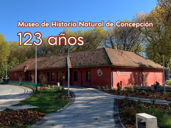Museo