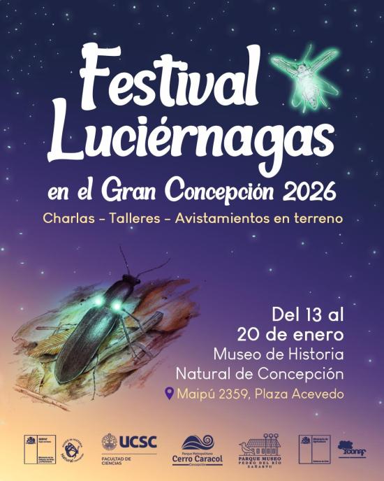 Afiche luciérnagas