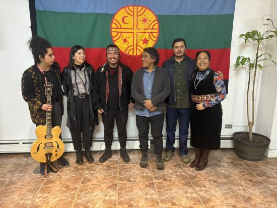 Artistas mapuche 2025
