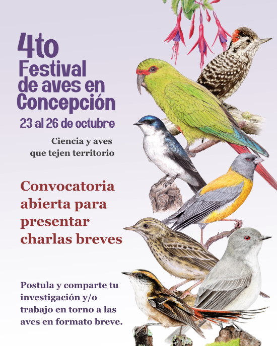 Afiche convocatoria mes 