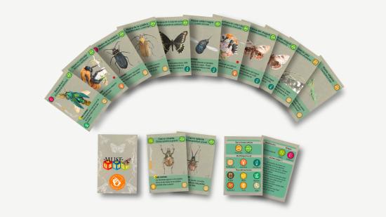 Cartas del musejuego insectos