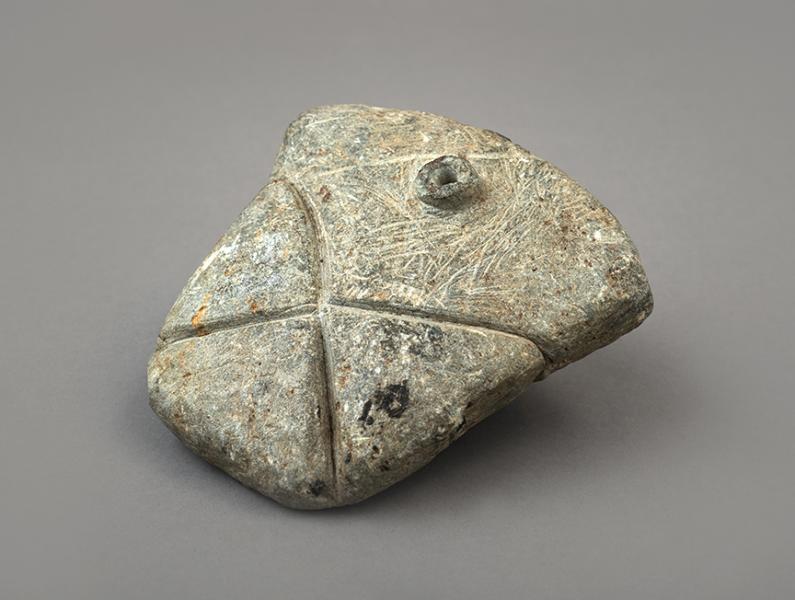 Pivulka ornitomorfa (vista posterior) Pivulka ornitomorfa (vista posterior)