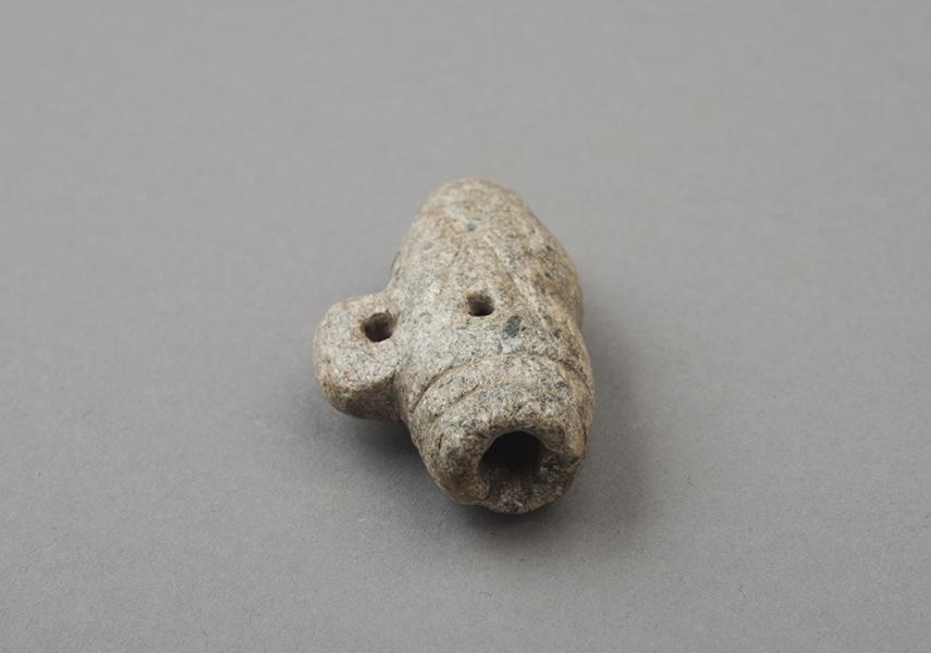 Pivulka pequeña (vista superior) Pivulka pequeña (vista superior)