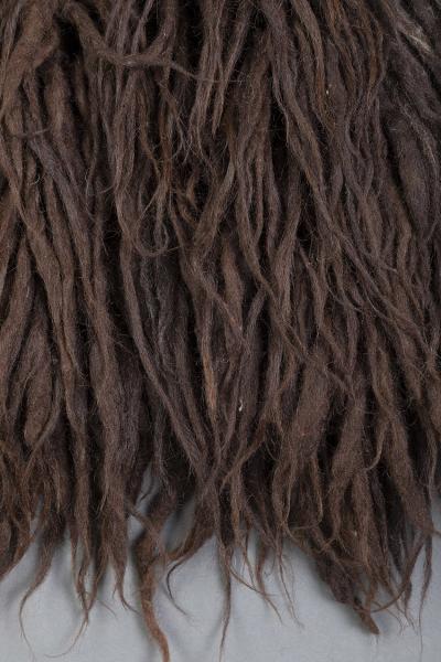 Detalle de chañuntuku