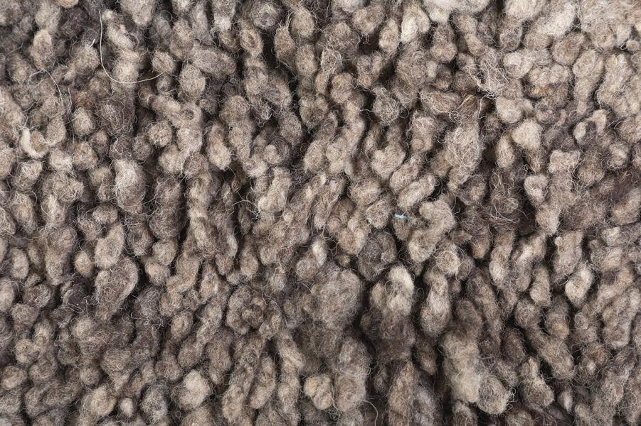 Detalle de chañuntuku