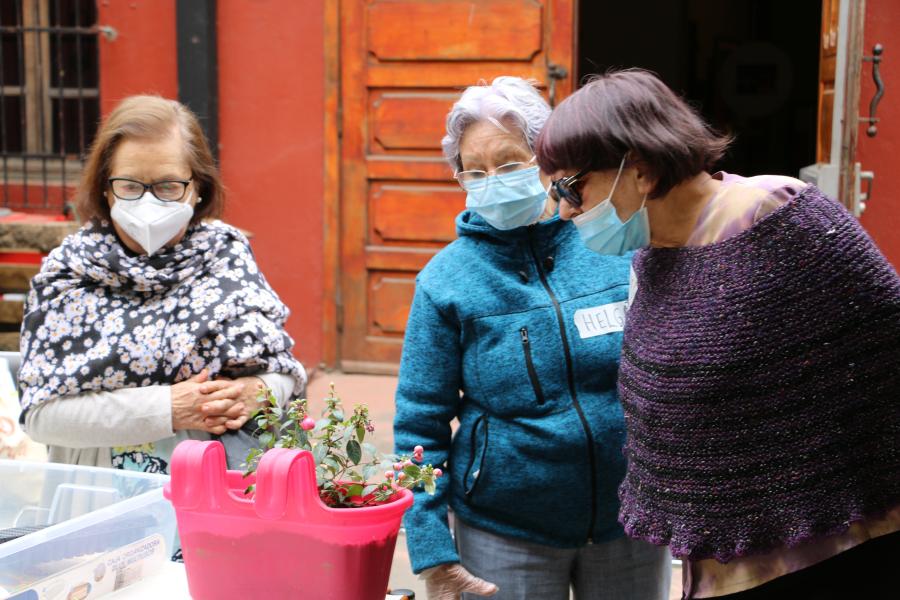 Taller &quot;Huerta urbana&quot;