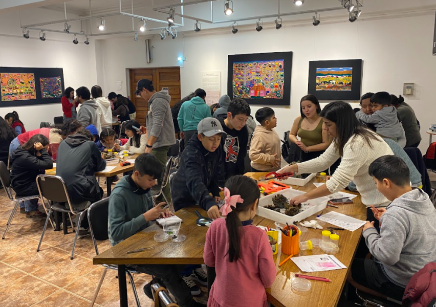 Taller de macroalgas