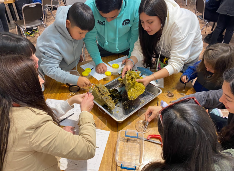 Taller de macroalgas
