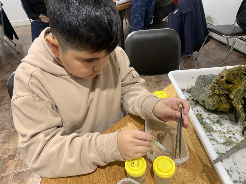 Taller Bosques de macroalgas, un tesoro por descubrir