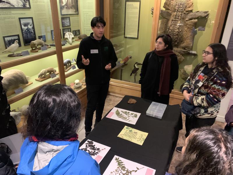 Taller &quot;Memorias de Violeta en el Biobío&quot;