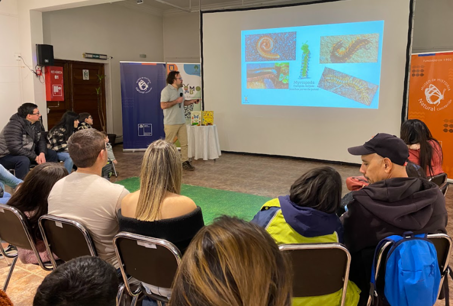 Charla taller &quot;Freak-insectos&quot;