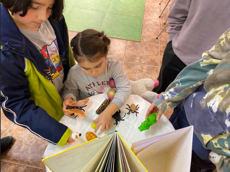 Charla taller &quot;Freak-insectos&quot;