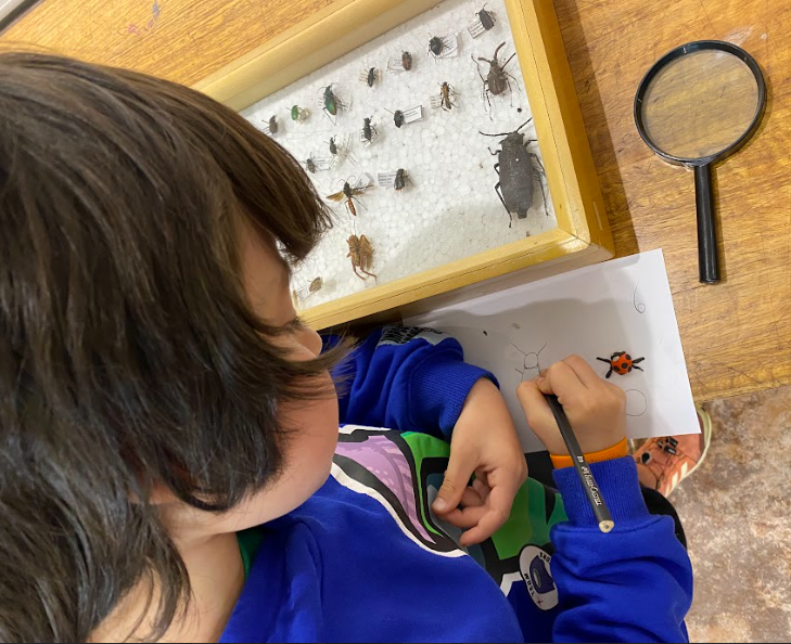 Charla taller &quot;Freak-insectos&quot;