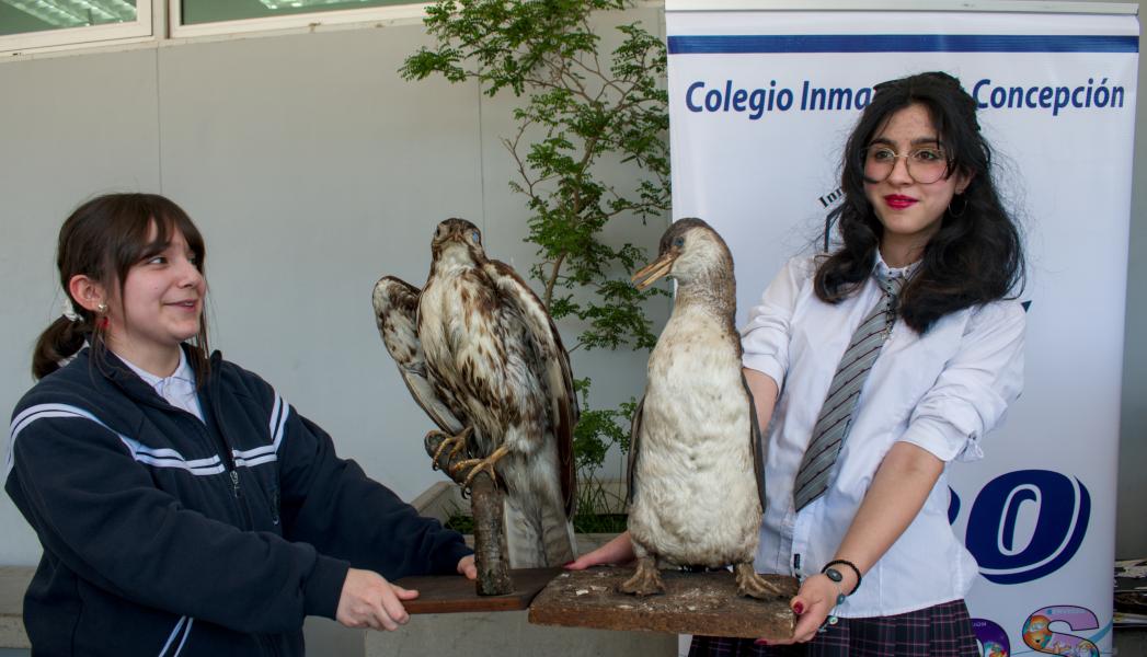 Día 1 - 3er Festival de Aves en Concepción