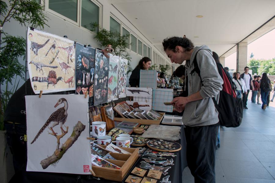 Día 1 - 3er Festival de Aves en Concepción