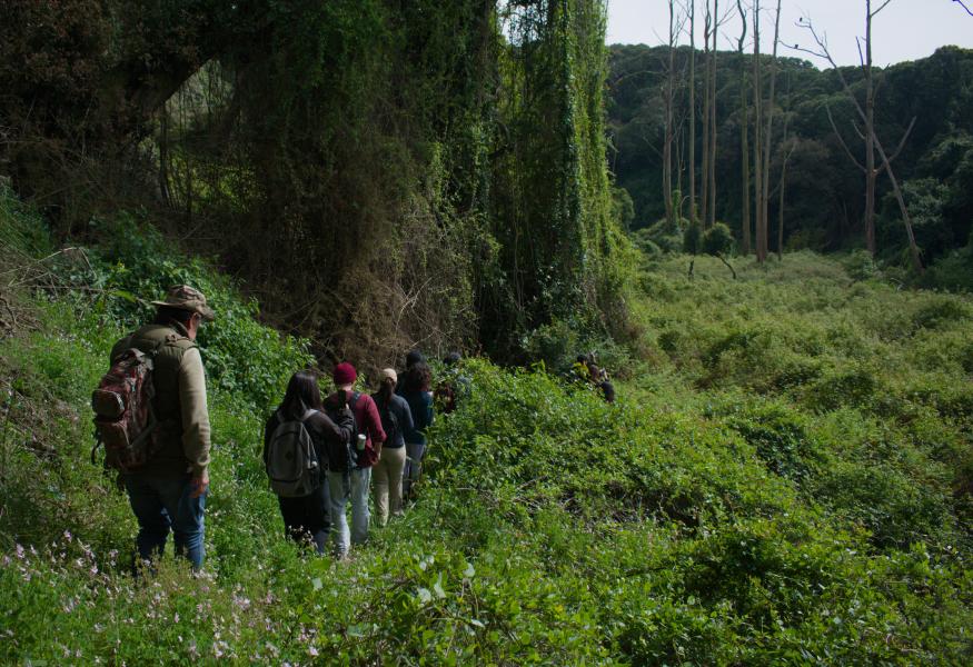 Día 2 - Excursión Península de Hualpén -  3er Festival de Aves en Concepción