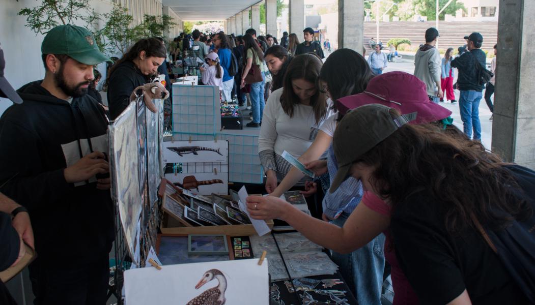 Día 1 - 3er Festival de Aves en Concepción