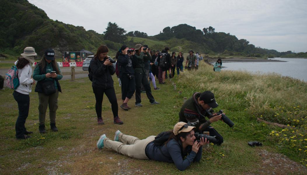 Día 2 - Excursión Península de Hualpén -  3er Festival de Aves en Concepción