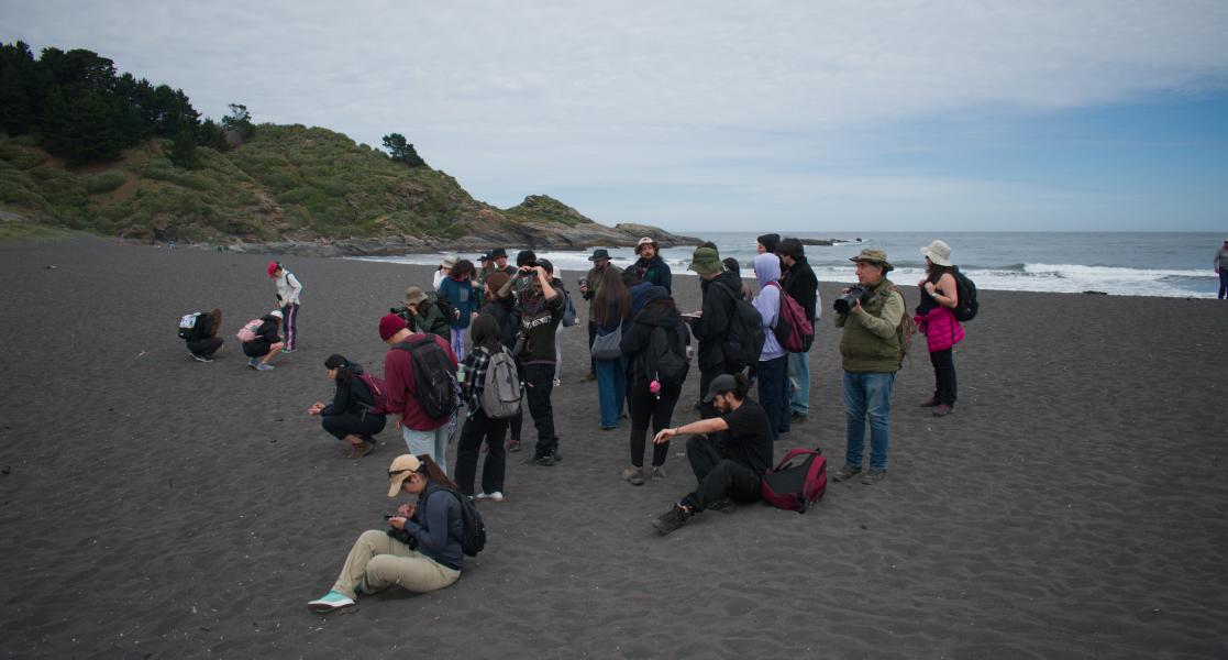 Día 2 - Excursión Península de Hualpén -  3er Festival de Aves en Concepción