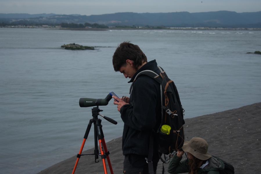 Día 2 - Excursión Península de Hualpén -  3er Festival de Aves en Concepción