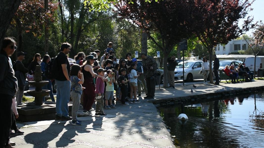 Día 1 - 3er Festival de Aves en Concepción