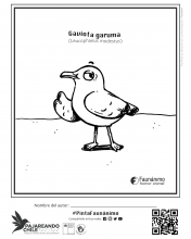 Caricatura de Gaviota Garuma